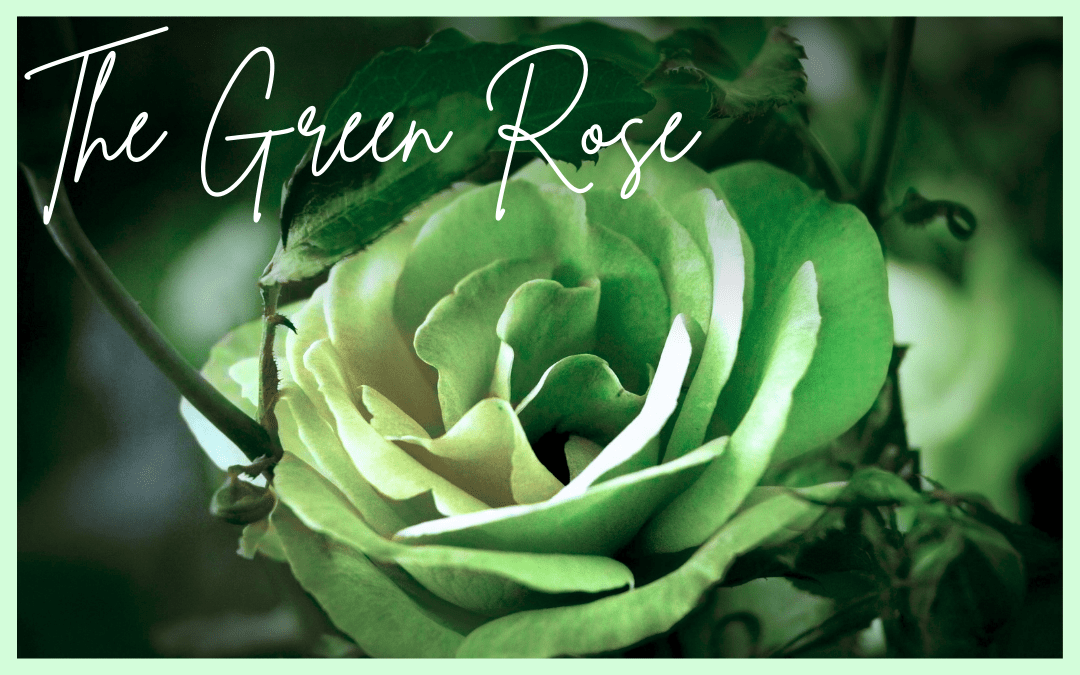 Rooted in Meaning: The Green Rose